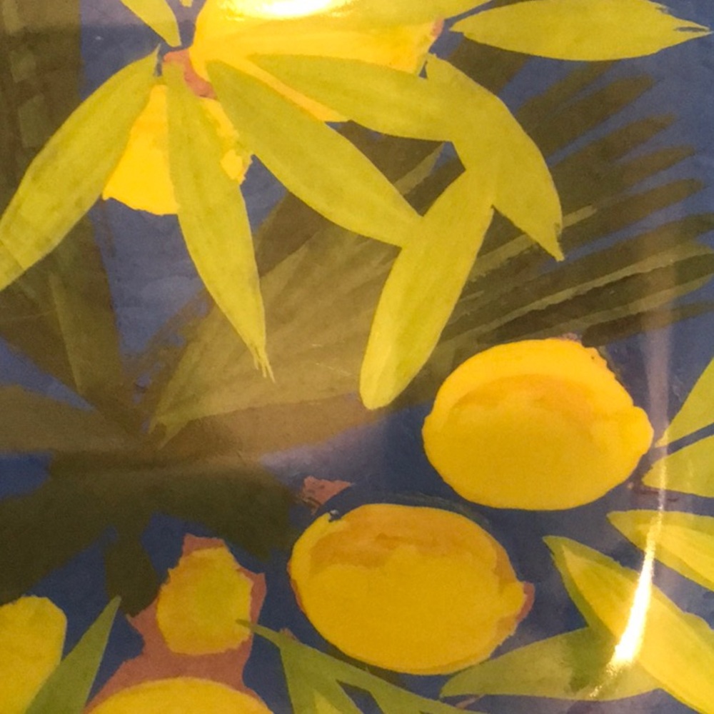 Isabella de Borchgrave lemon and  leaves platter melamine - Picture 6 of 7